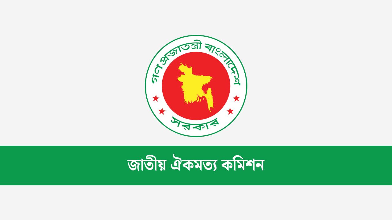 জুলাই সনদের অঙ্গীকারনামার পঞ্চম দফা সংশোধন করা হয়েছে: আলী রীয়াজ